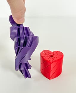 Twisty Heart Fidget 3d model