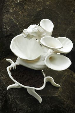 The Guardian Dragon Moss and Fern Planter 3d model