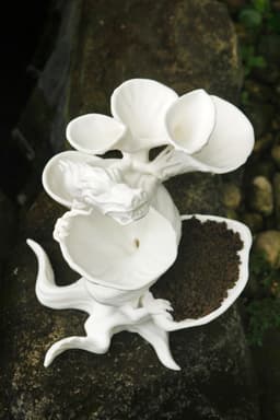 The Guardian Dragon Moss and Fern Planter 3d model