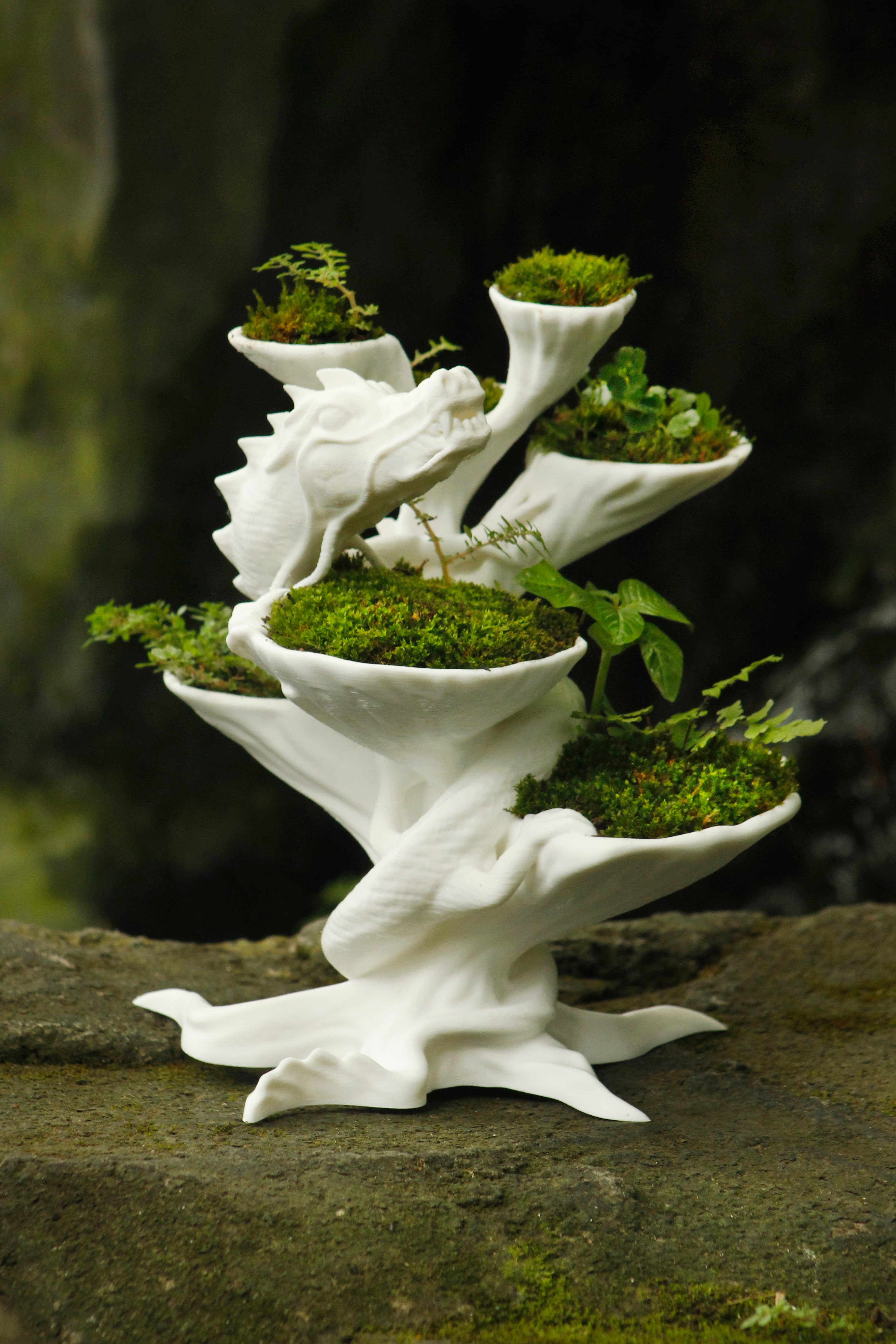 The Guardian Dragon Moss and Fern Planter 3d model