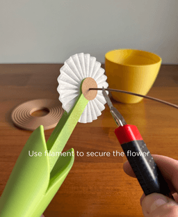 Dandelion, pasta wheel cutter. 3d model