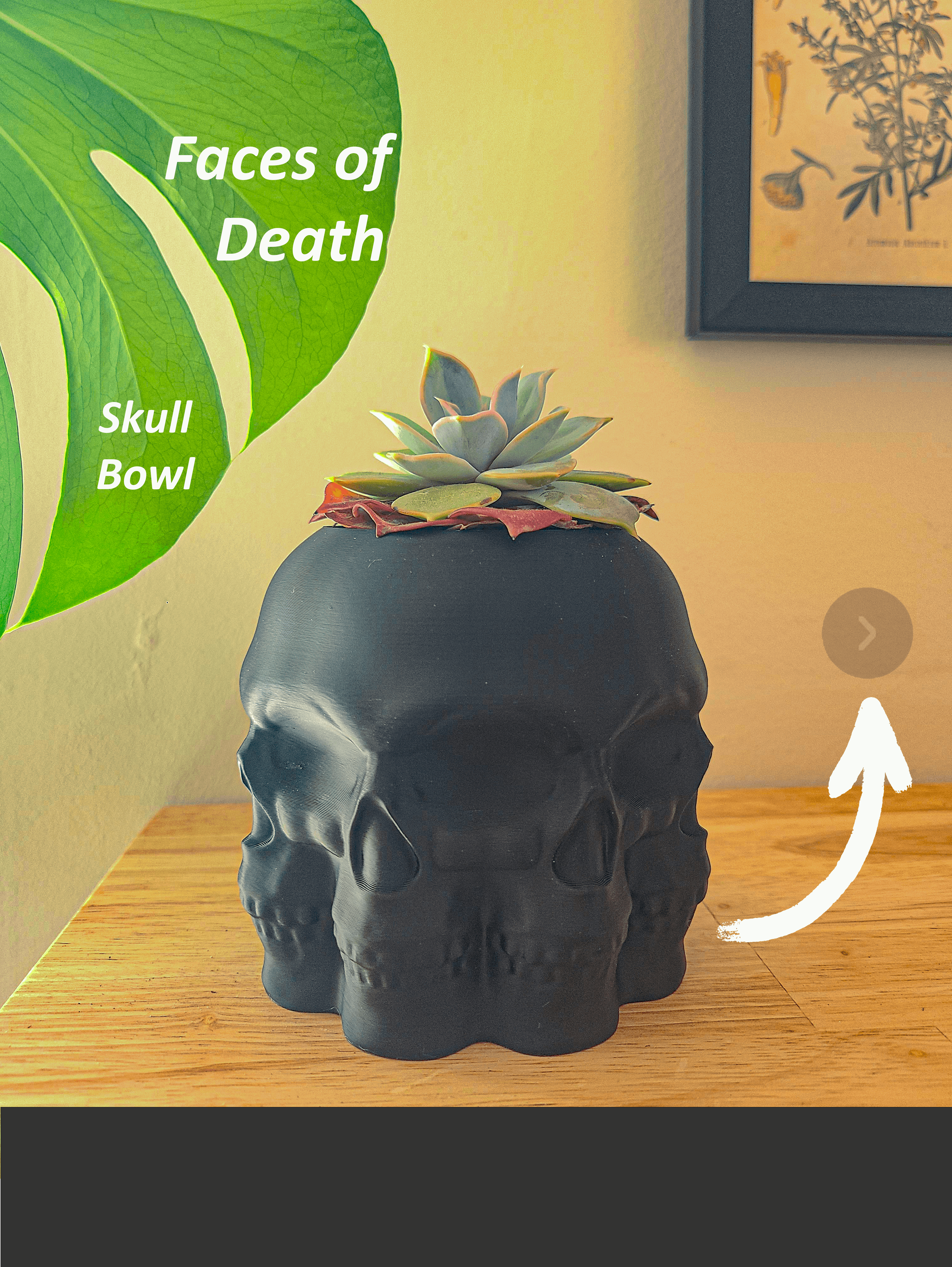 Faces Of Death Bowl - Skull Bowl 3d model