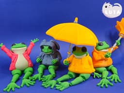 Fox Raincoat Frog 3d model