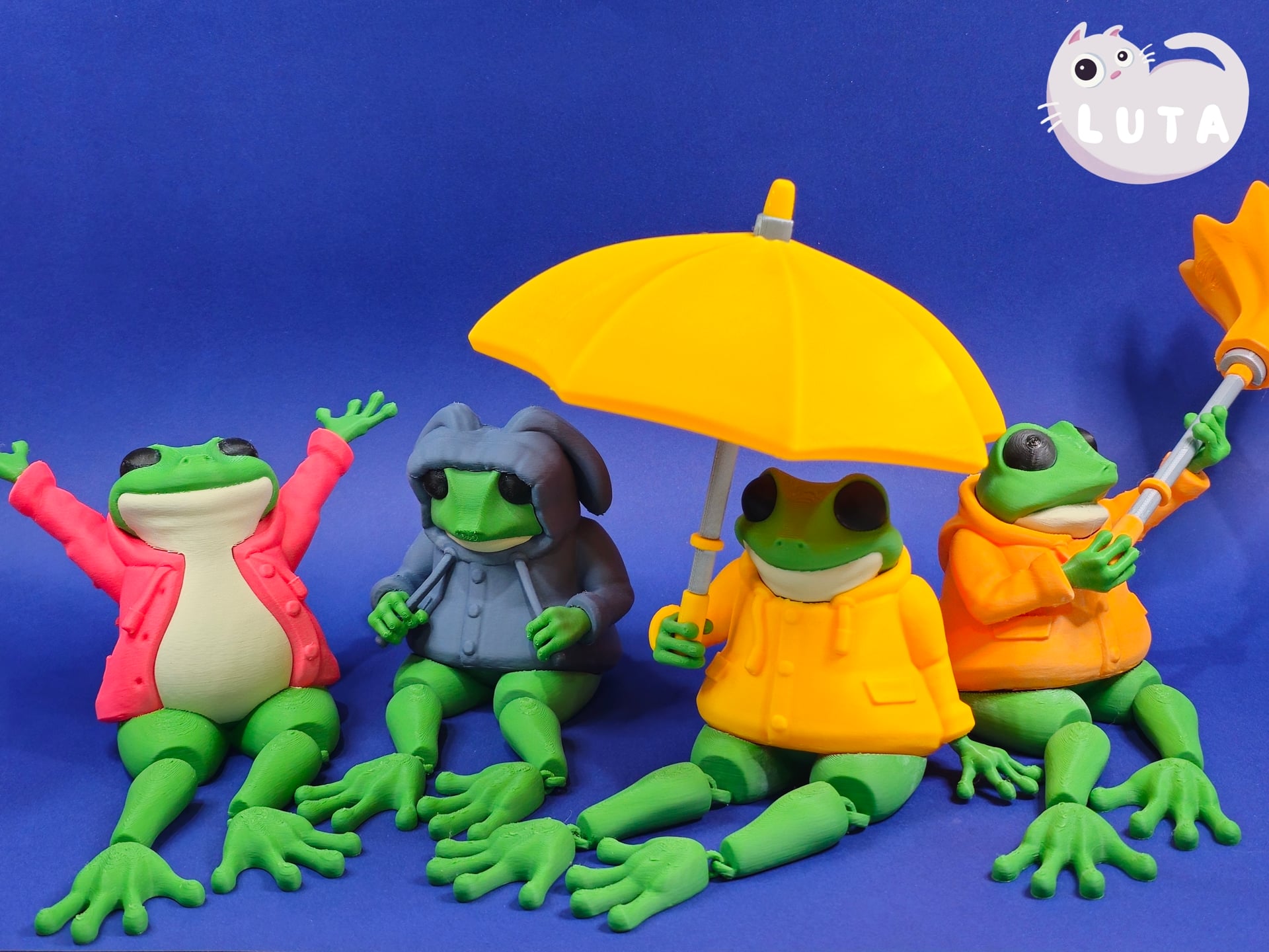 Fox Raincoat Frog 3d model