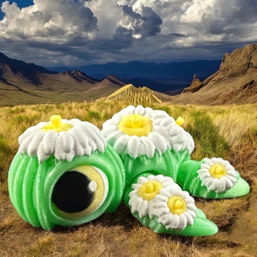 Saguaro Cactus Flower Turtle - AZ State Flower 3d model