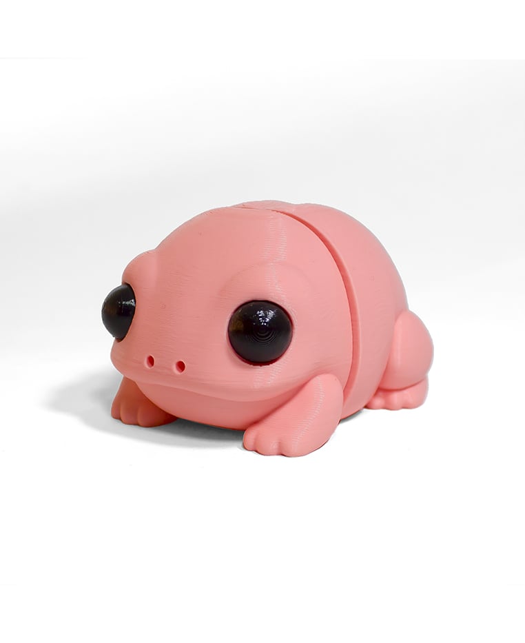 Baby Frog 3d model