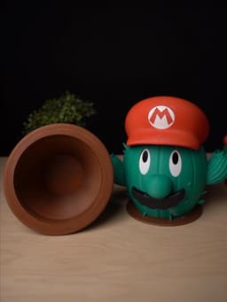 Mario Cactus Container - Single Color 3d model
