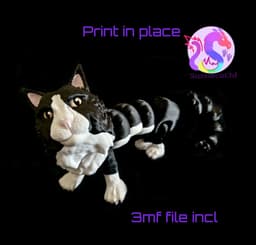 Maine Coon Cat (Personal Use) 3d model