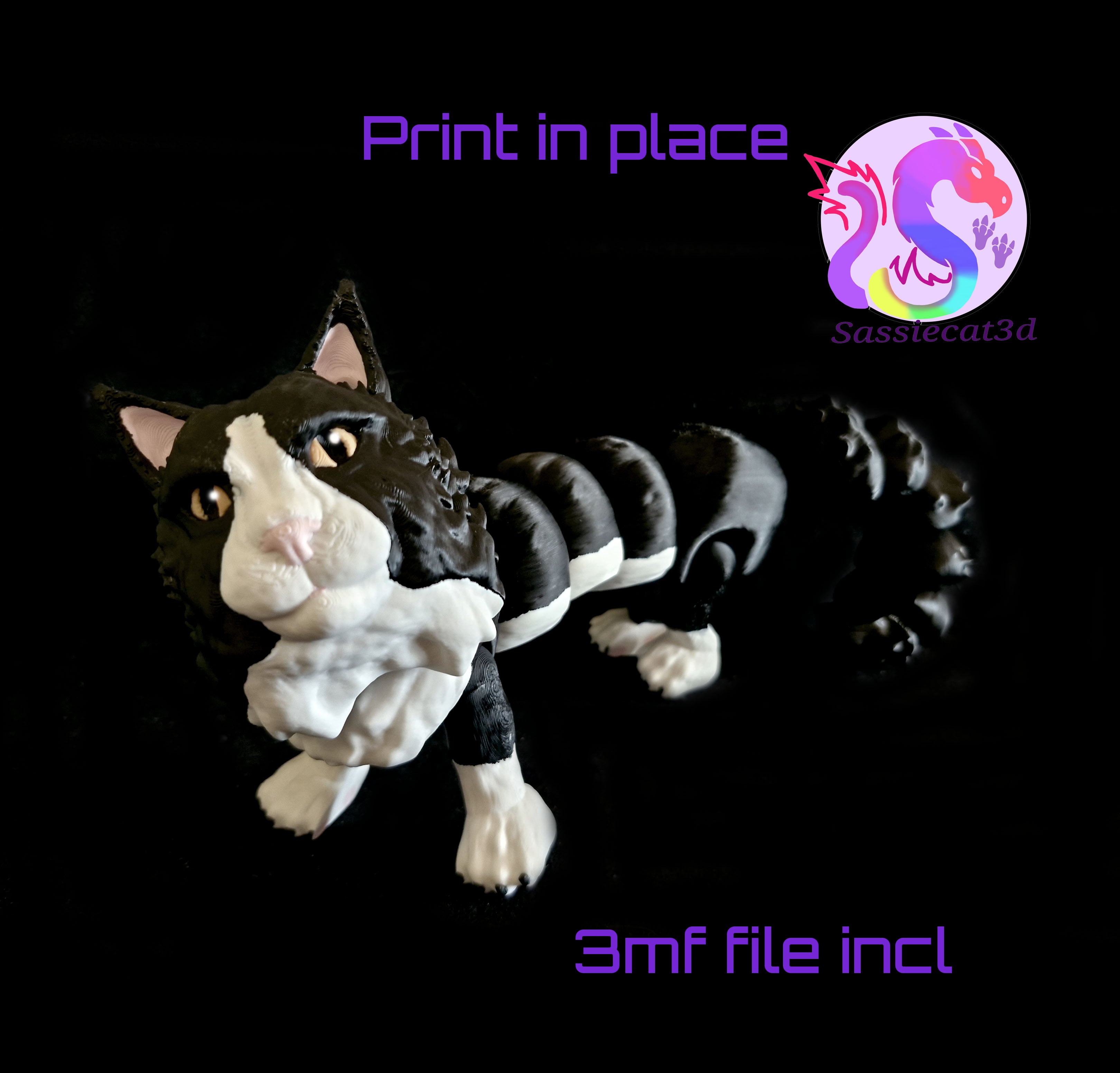 Maine Coon Cat (Personal Use) 3d model