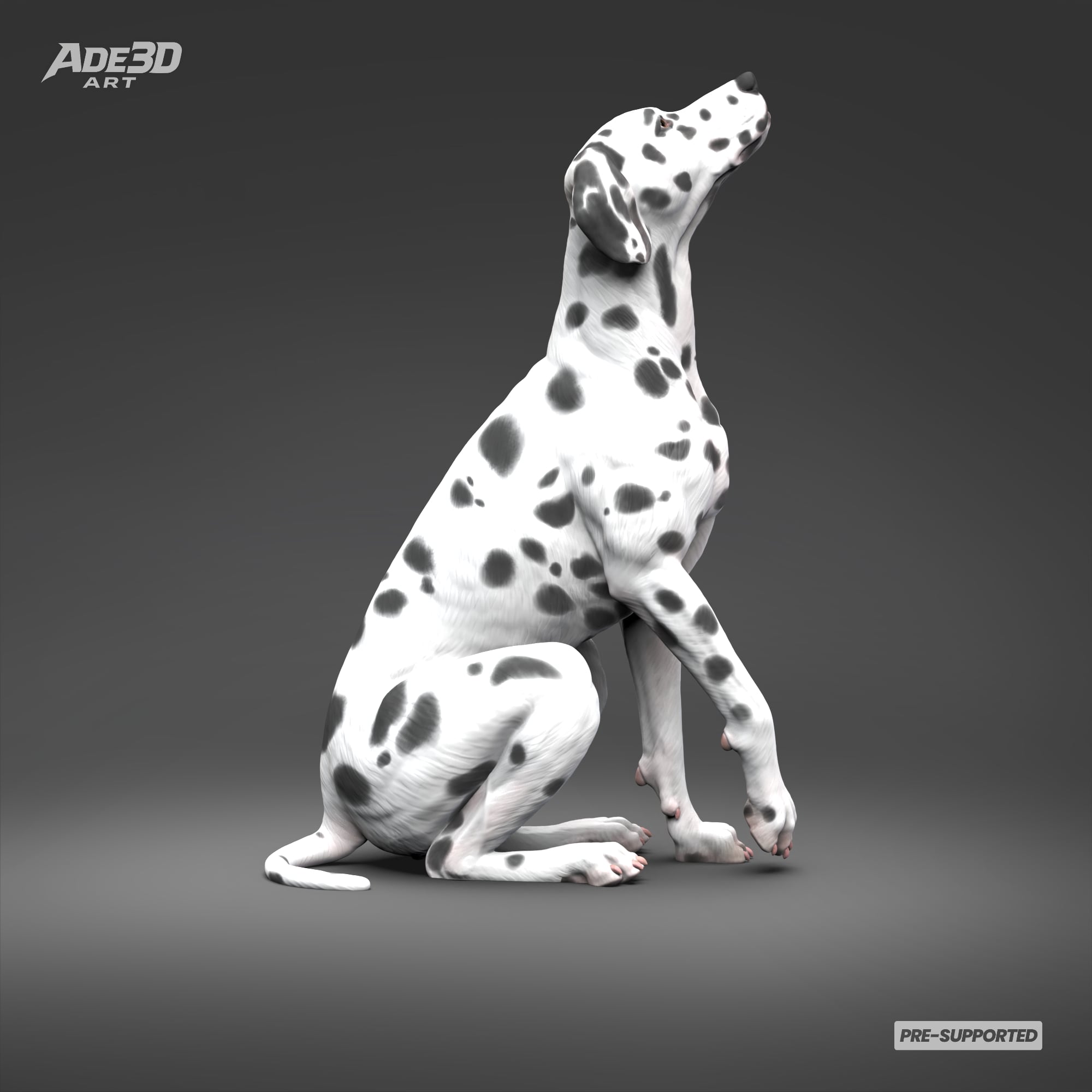 Dalmatian 3D Print Model Pose 04 3d model