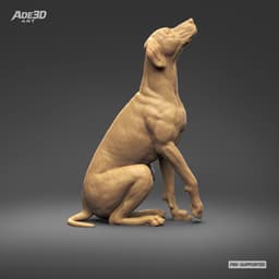 Dalmatian 3D Print Model Pose 04 3d model