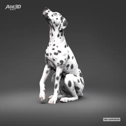 Dalmatian 3D Print Model Pose 04 3d model