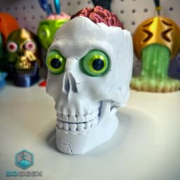 Brain Skull & Brain Skull Box 3d model