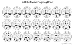 Ocarina - Not Quite Tuned or Playable 3d model