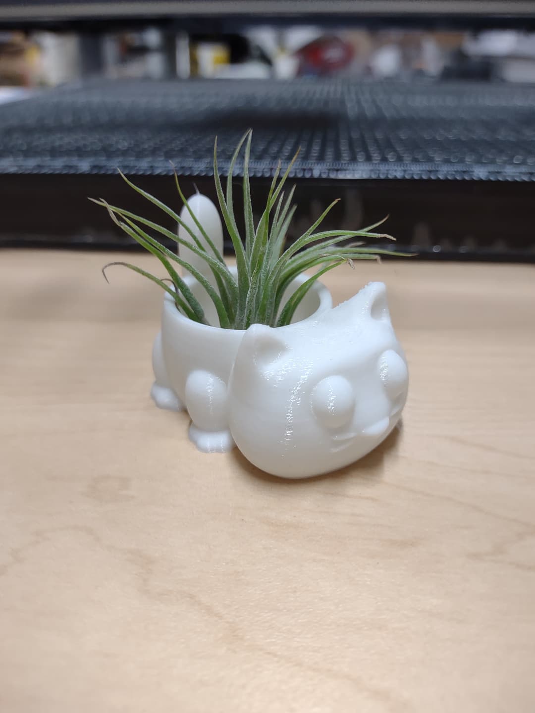 Cat Pot 3d model