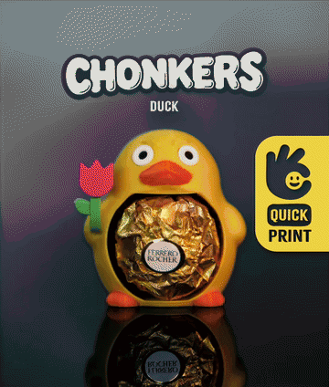 Chonkers Duck 3d model
