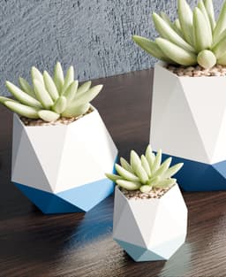 DuoFacet Pots 3d model