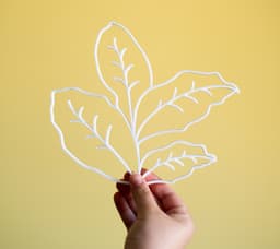Leafscape 3d model