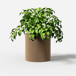 FIN Collection - Planter Set 3d model