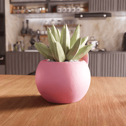 Cute Cat Succulent Planter 3d model