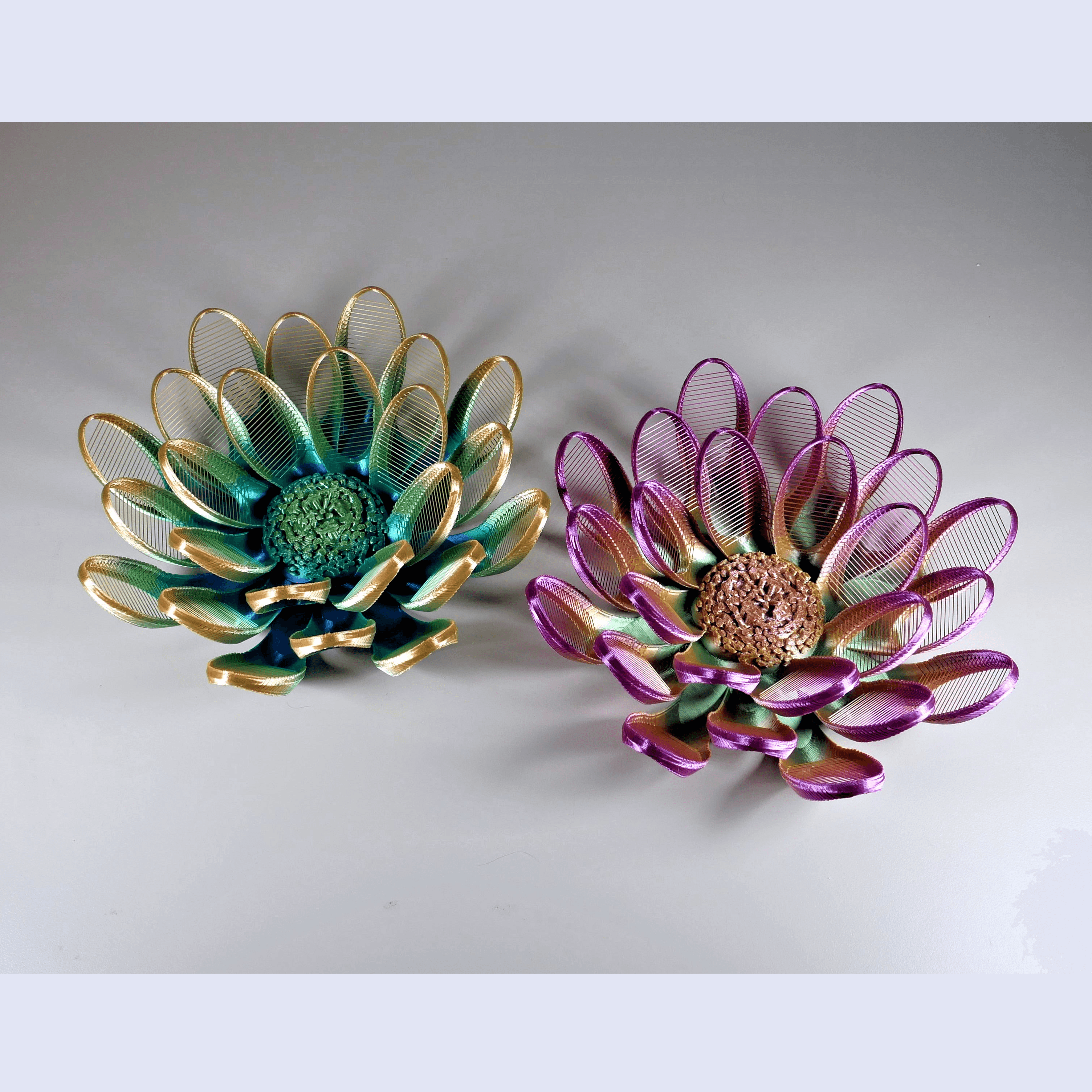 Lotus Flower Art 3d model