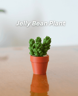 Spinny Succulents Pack II 3d model