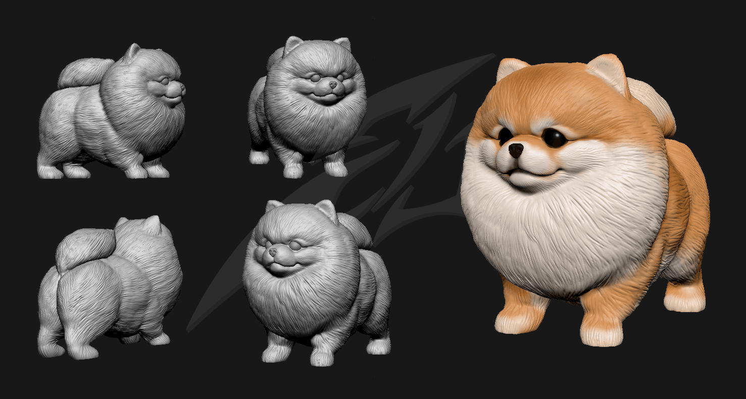 Cute Pomeranian 3d model