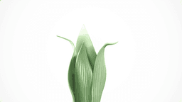 The Leaf’s Embrace 3d model