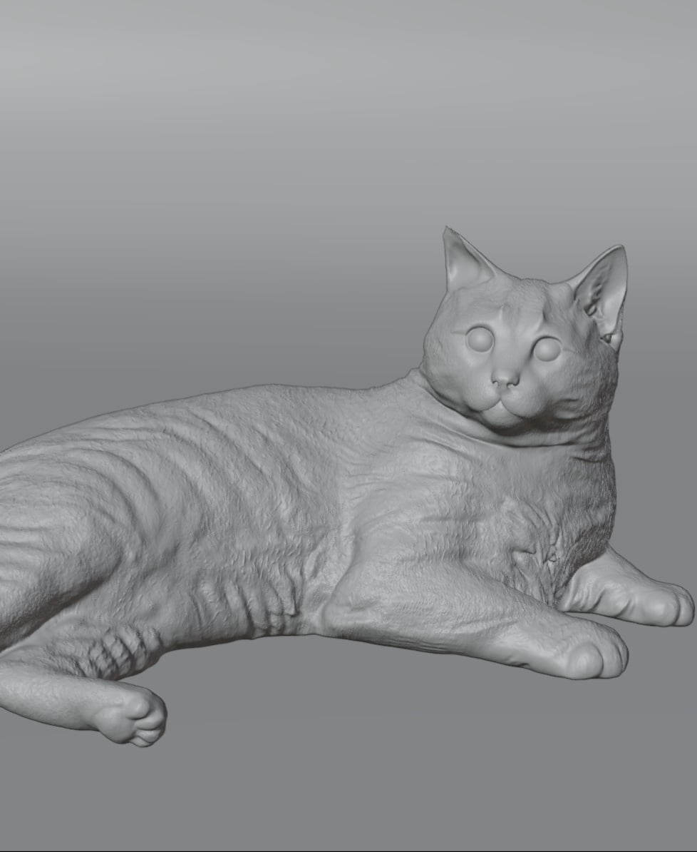 Cat lying down 3d model