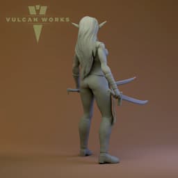 Phera Feyswalker | Elf Fighter 3d model