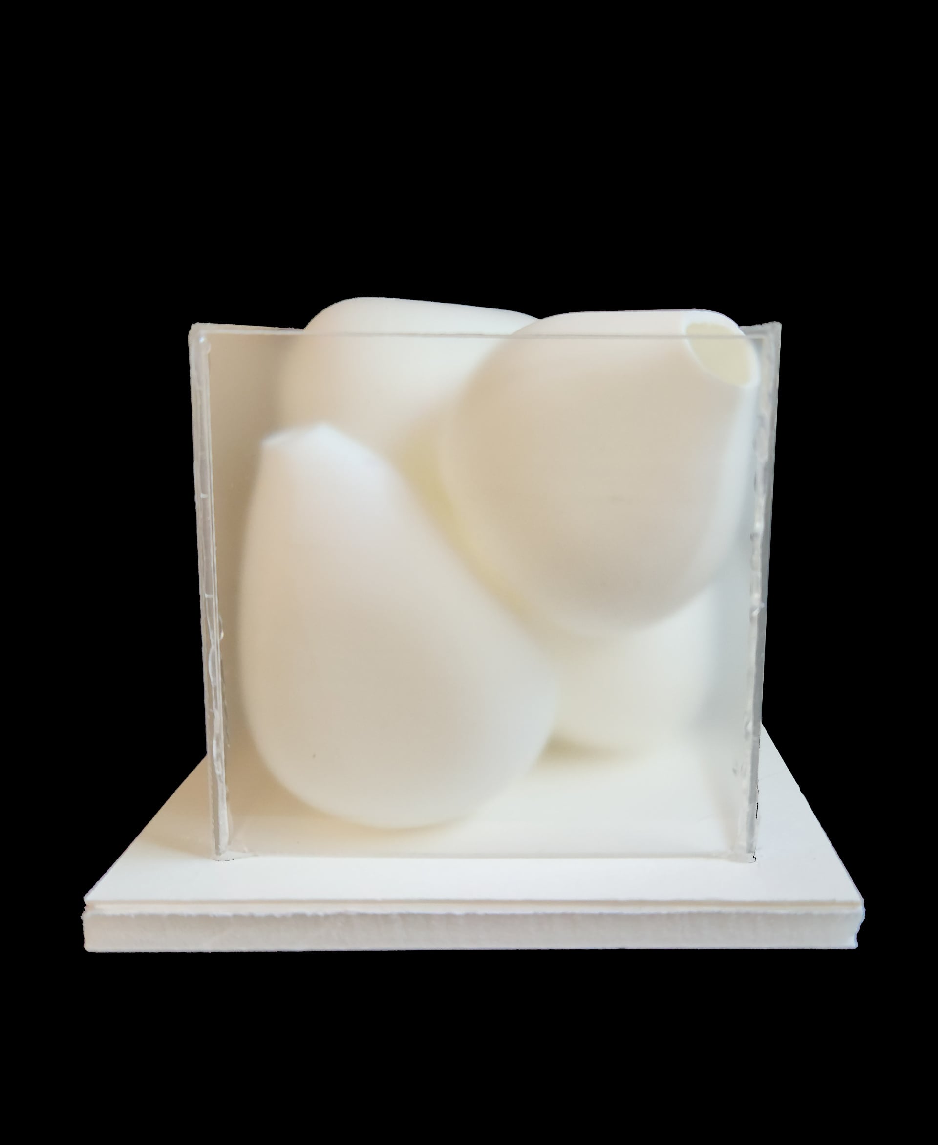 Vase Puzzle 3d model