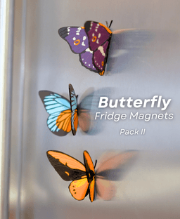 Butterfly Fridge Magnets - Pack II 3d model