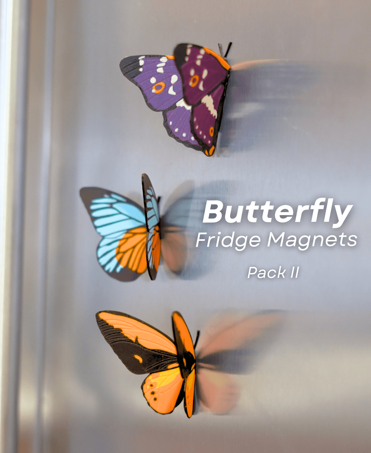Butterfly Fridge Magnets - Pack II 3d model