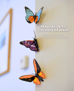 Butterfly Fridge Magnets - Pack II 3d model
