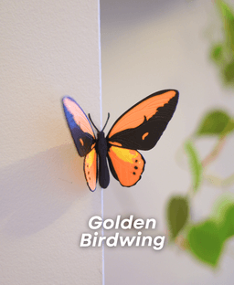 Butterfly Fridge Magnets - Pack II 3d model