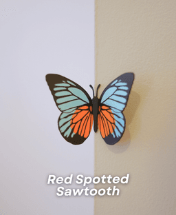Butterfly Fridge Magnets - Pack II 3d model