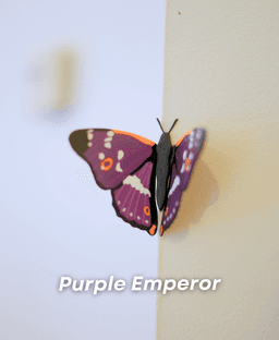 Butterfly Fridge Magnets - Pack II 3d model