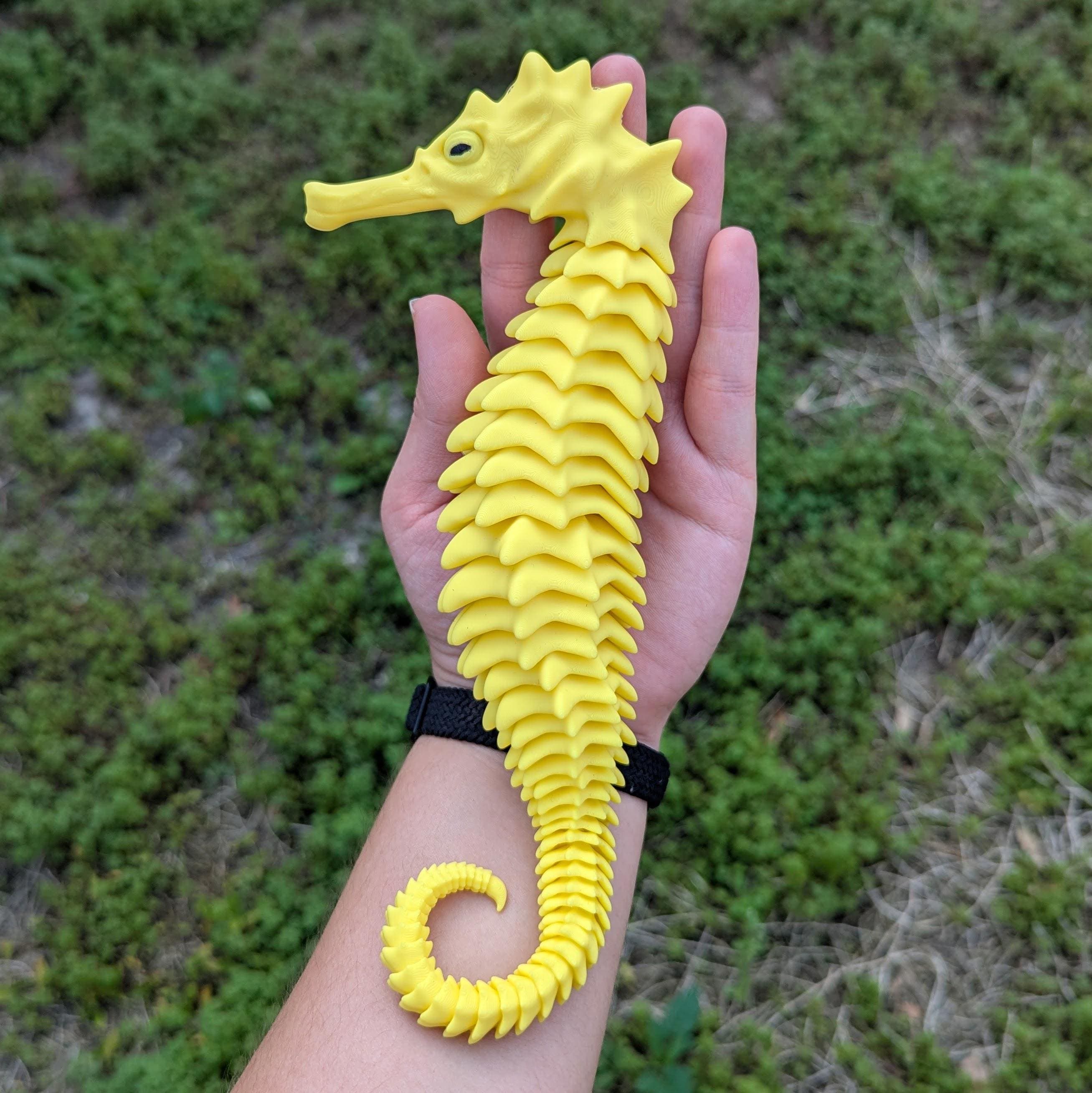 FLEXI SKELTON SEAHORSE 3d model