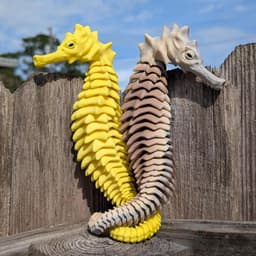 FLEXI SKELTON SEAHORSE 3d model