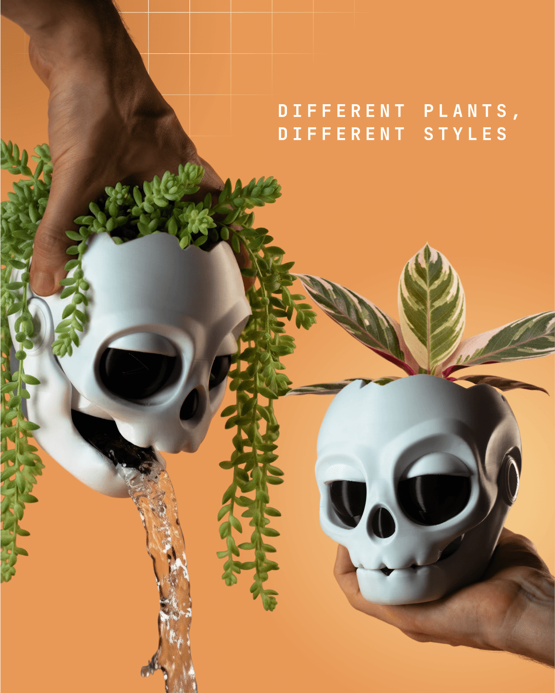 Skull planter 3d model