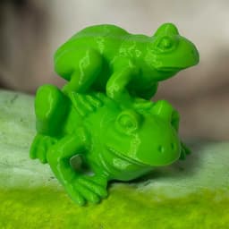 Two Frog 3d model