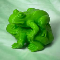 Two Frog 3d model