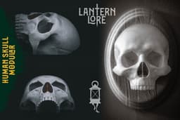 Human Skull Modular (Pre Supported) 3d model