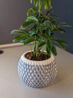 Modern Planter 002 3d model