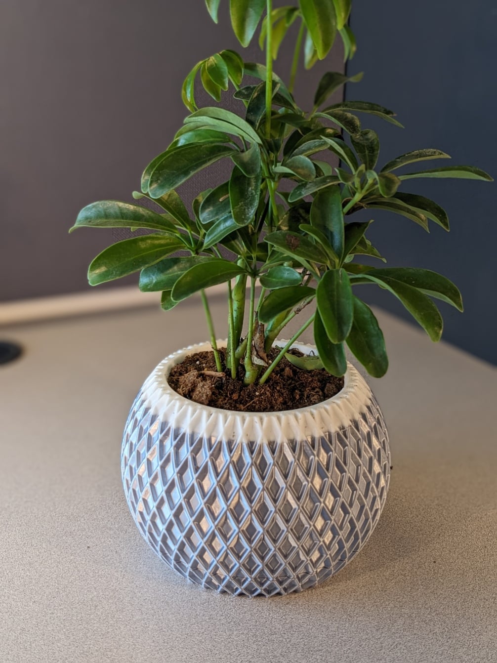 Modern Planter 002 3d model