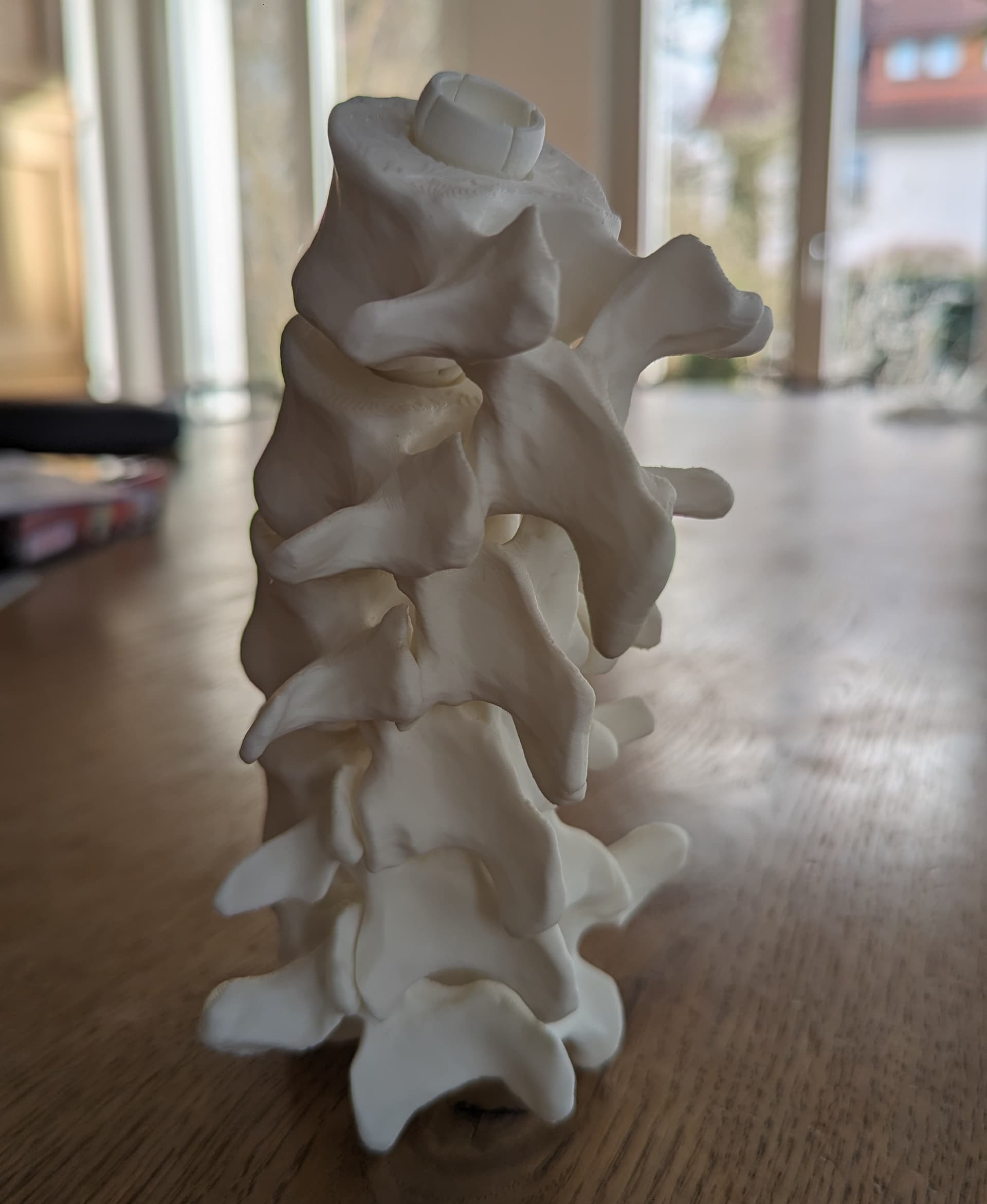 Great model. Fits perfect :)
Prusa MINI+
17,5h