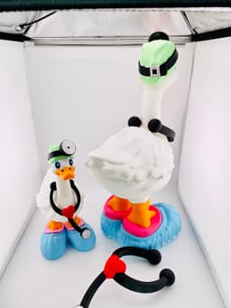 Doctor Goose Gear Outfit for Porch Goose 3d model