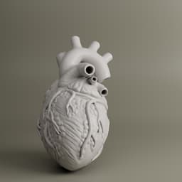 Heart Anatomy For Education 3d model