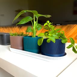 Mid century modern small set 3d model