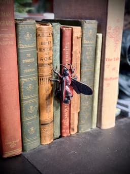 Skull bee spine hugger 3d model